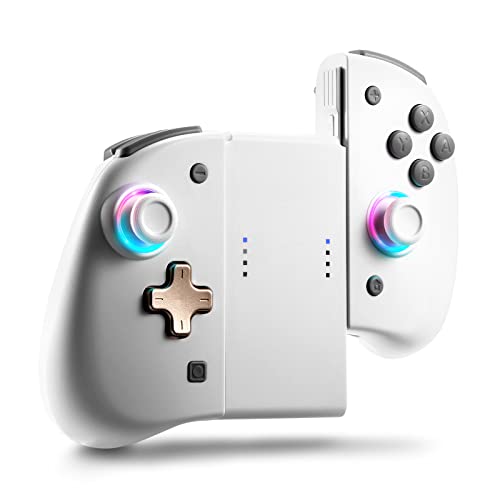 DOYOKY binbok Joy Pad Controller for Switch/Switch OLED, Wireless Joy Con Switch Controller 8 Colors Adjustable LED Joypad Controller with Back Map Button/Turbo/Motion Control (white&grey)