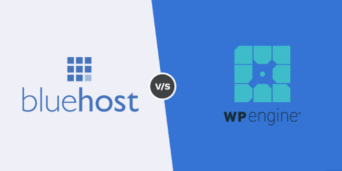 WPEngine Vs Bluehost